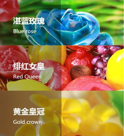 精品糖藝特色班 甜蜜藝術的探索之旅